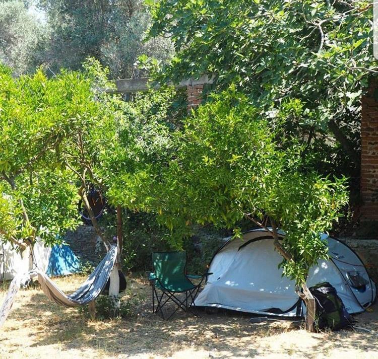 Bodrum Masali Camping Gumusluk Εξωτερικό φωτογραφία