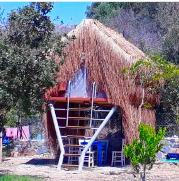 Bodrum Masali Camping Gumusluk Εξωτερικό φωτογραφία