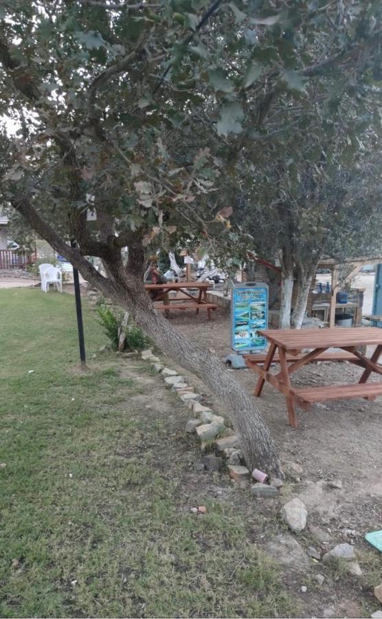 Bodrum Masali Camping Gumusluk Εξωτερικό φωτογραφία