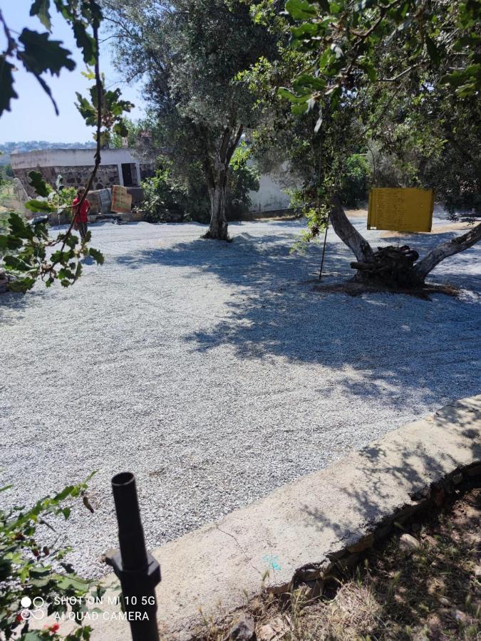 Bodrum Masali Camping Gumusluk Εξωτερικό φωτογραφία