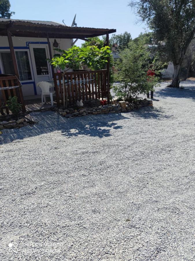 Bodrum Masali Camping Gumusluk Εξωτερικό φωτογραφία