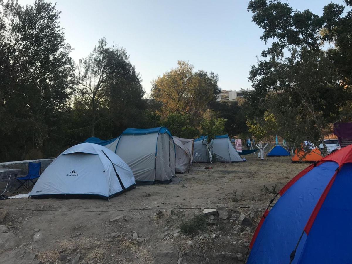 Bodrum Masali Camping Gumusluk Εξωτερικό φωτογραφία