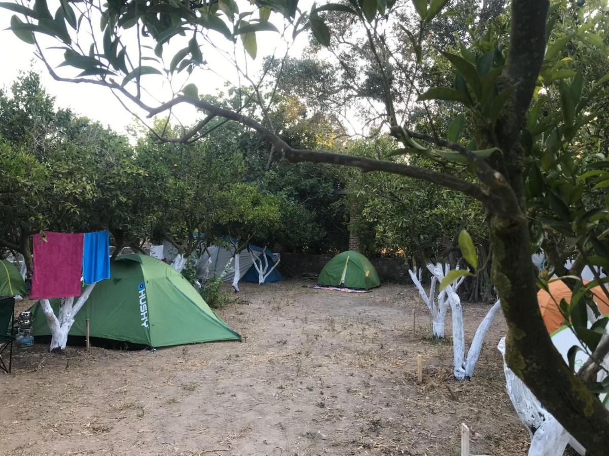 Bodrum Masali Camping Gumusluk Εξωτερικό φωτογραφία