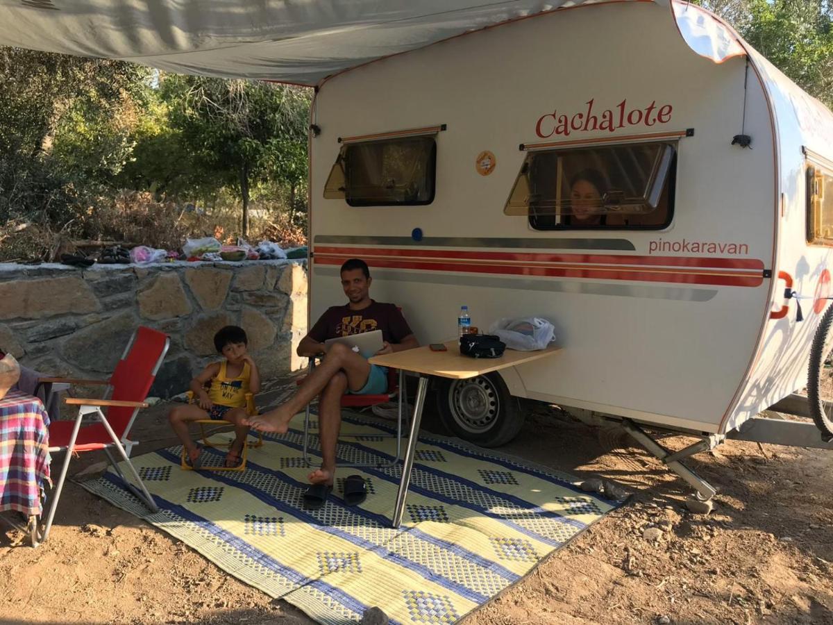 Bodrum Masali Camping Gumusluk Εξωτερικό φωτογραφία